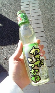 �Ȃ�قǐÉ��I�Q