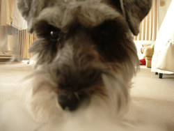 �E�C�o������I